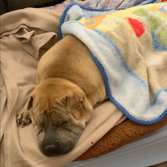 Meet your Posher, Kevin - Picture 1 of 1